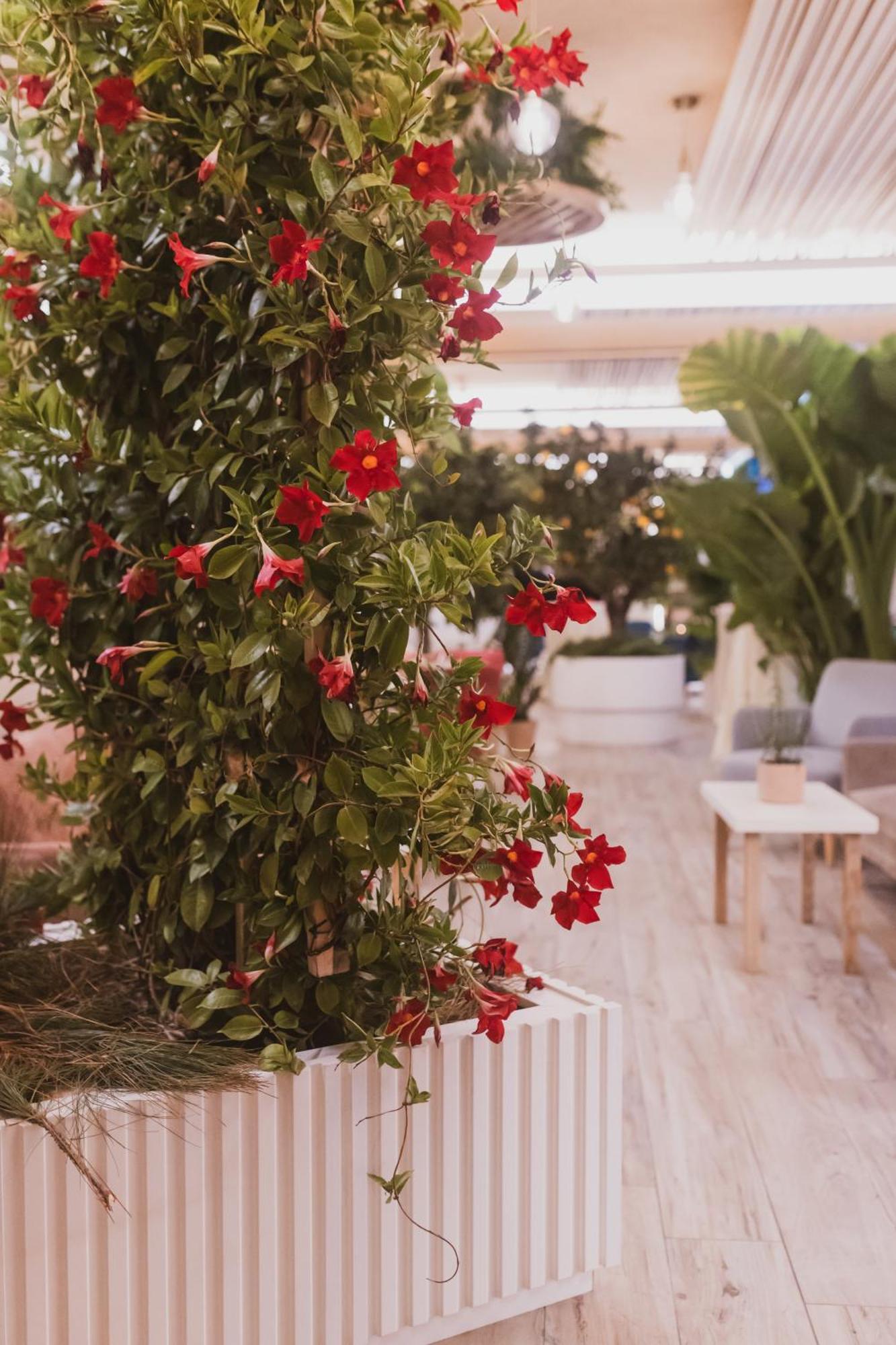 Sentido Michelizia Tropea Resort Exteriör bild